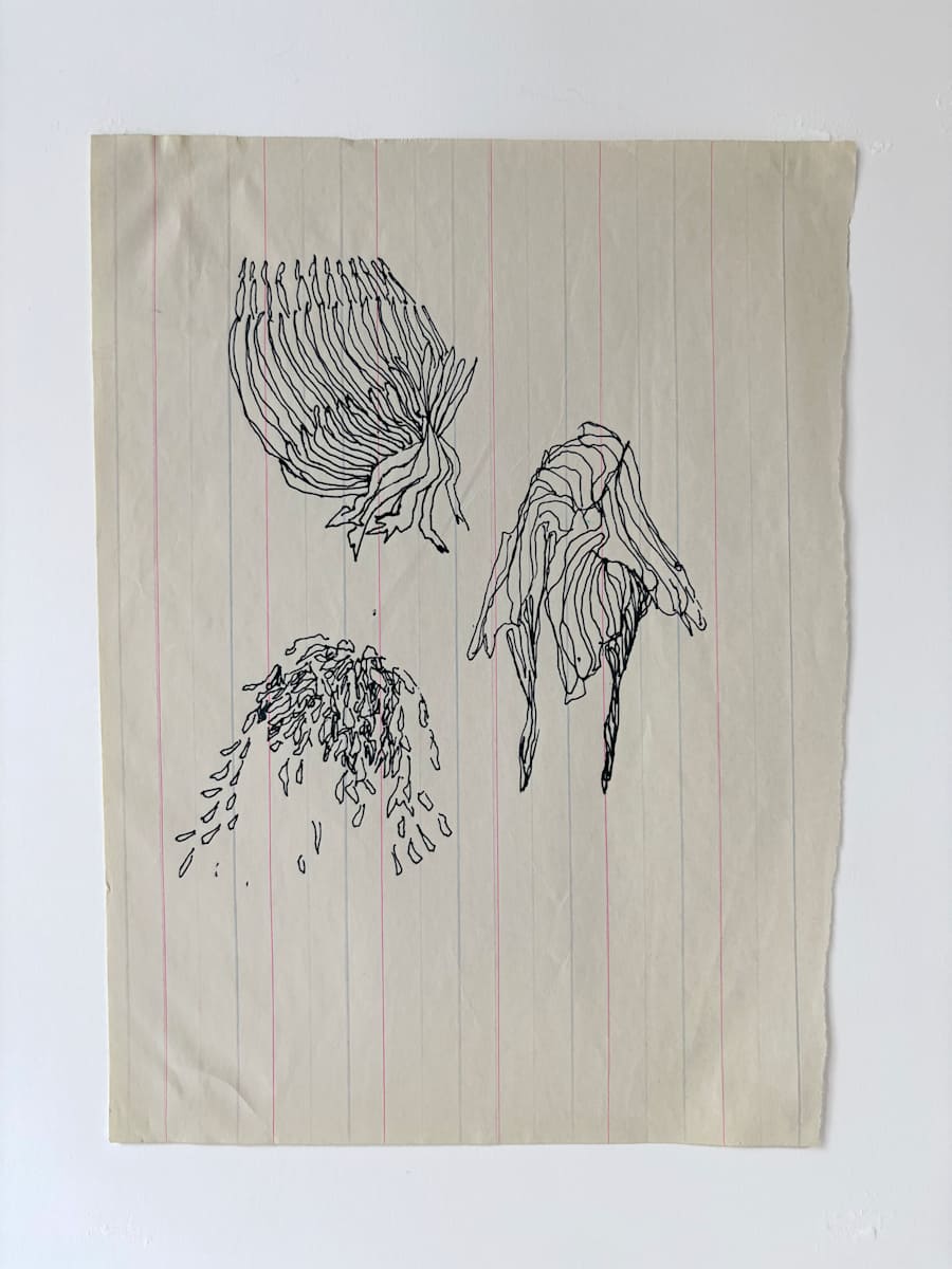 3 Forms by Marisa Tesauro, Image 2.