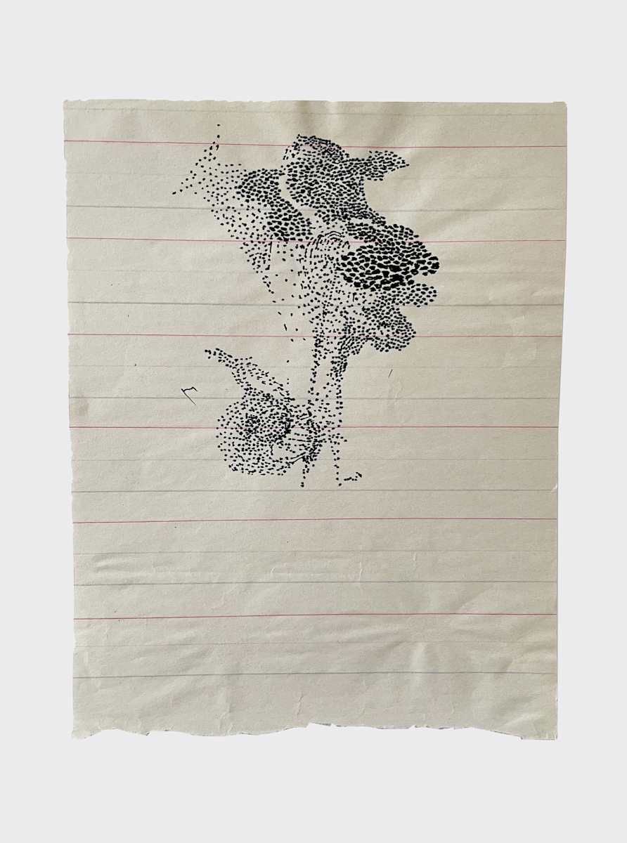 Api by Marisa Tesauro, Image 2.