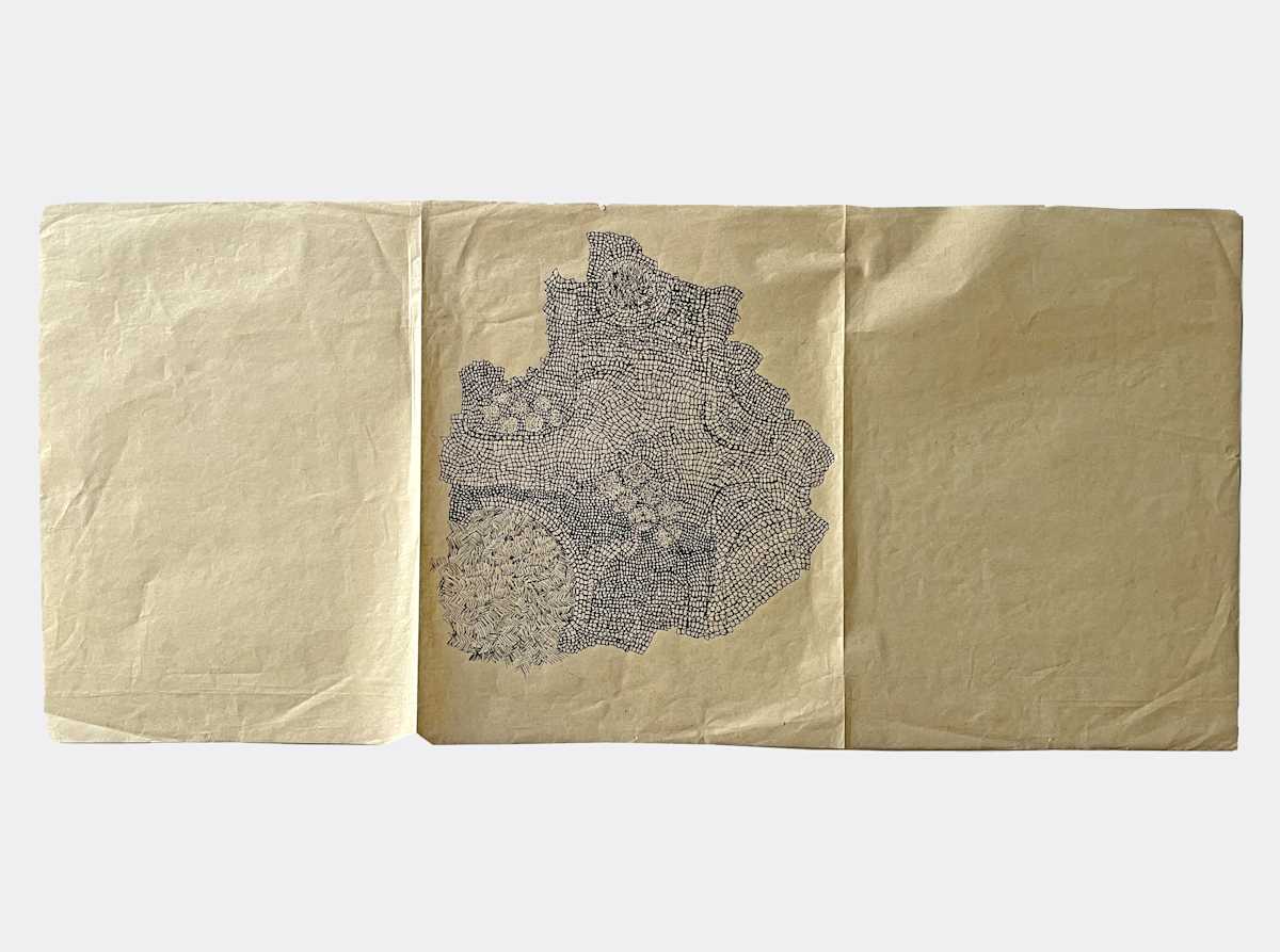 Sketch for Field Installation by Marisa Tesauro 