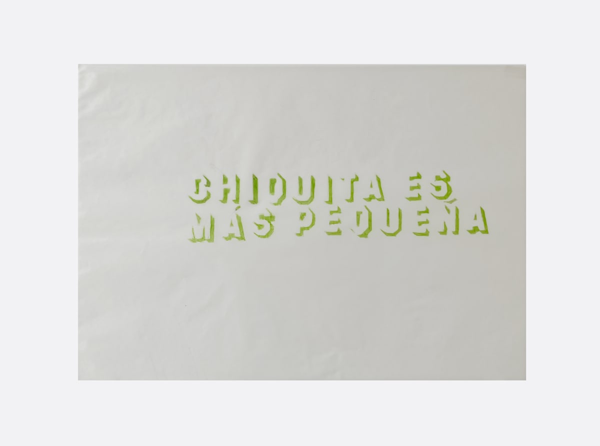 Chiquita es más Pequeña by Marisa Tesauro 
