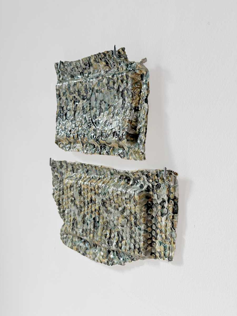 E-clamshells by Marisa Tesauro 