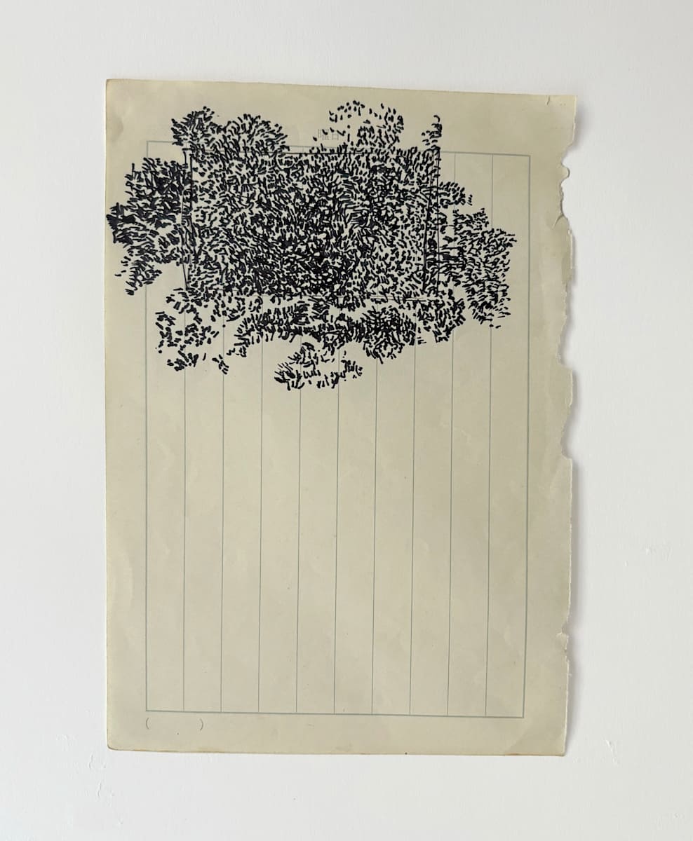 Follia by Marisa Tesauro, Image 2.