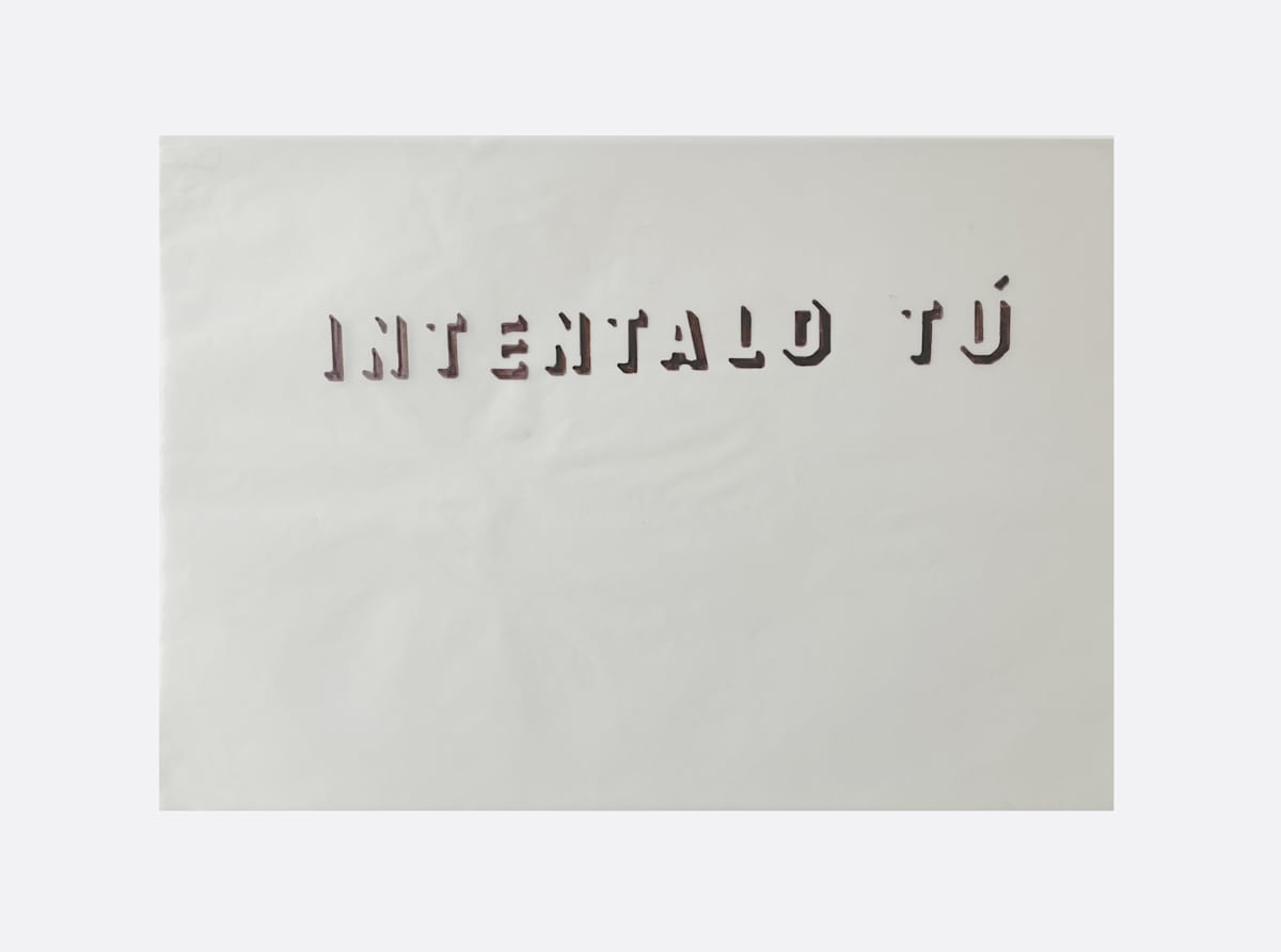 Intentalo Tú by Marisa Tesauro 