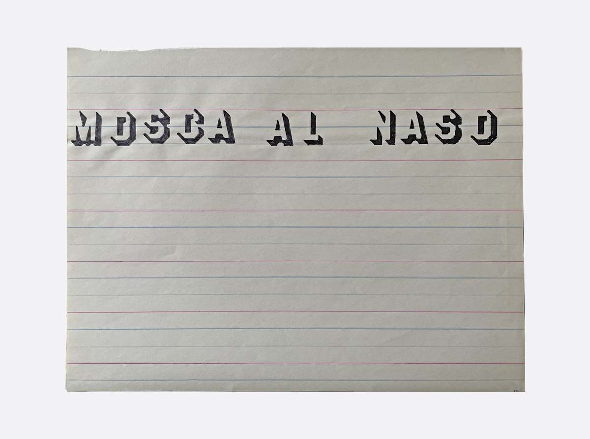 Mosca al Naso by Marisa Tesauro, Image 2.
