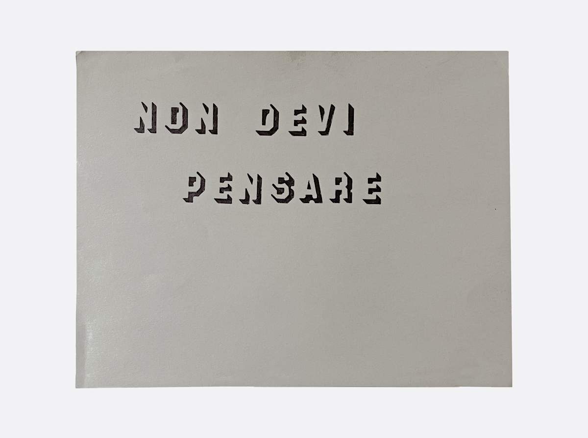 Non Devi Pensare by Marisa Tesauro 