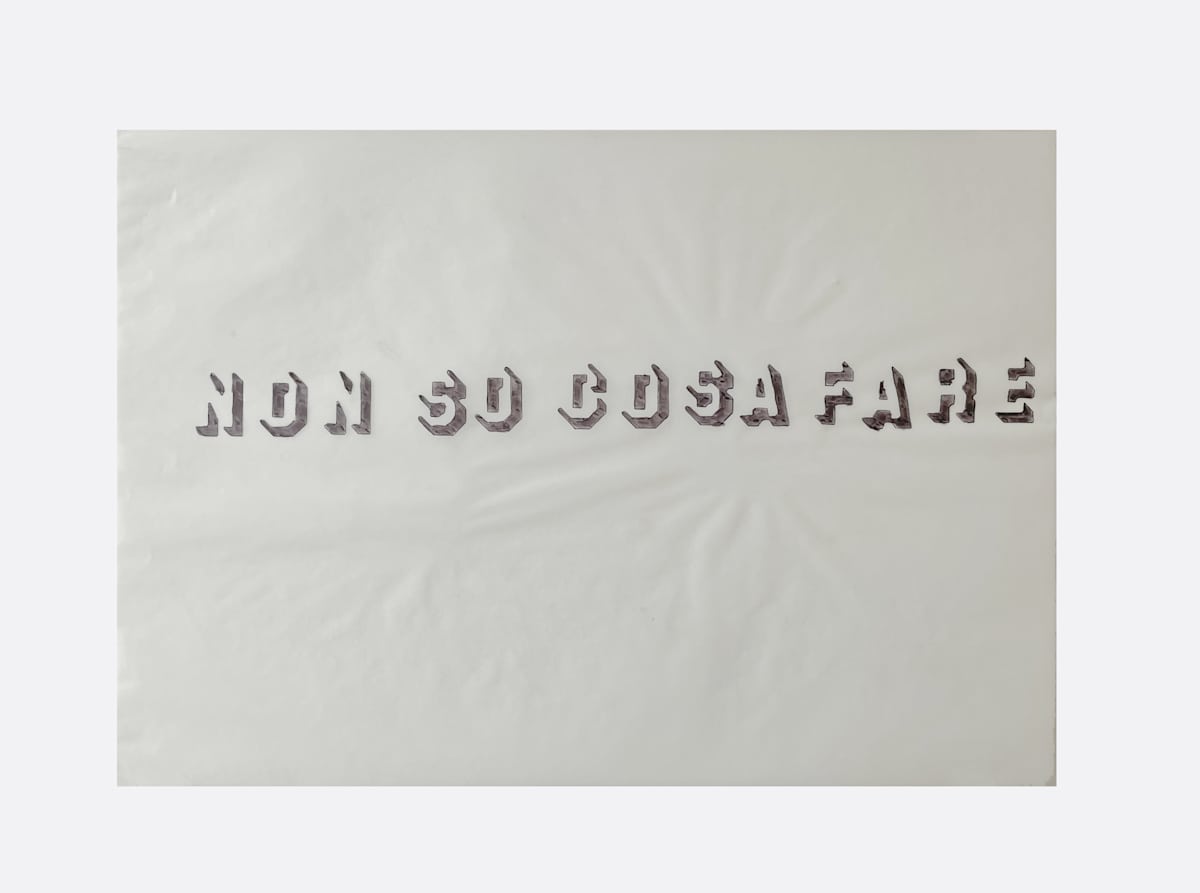 Non So Cosa Fare by Marisa Tesauro 