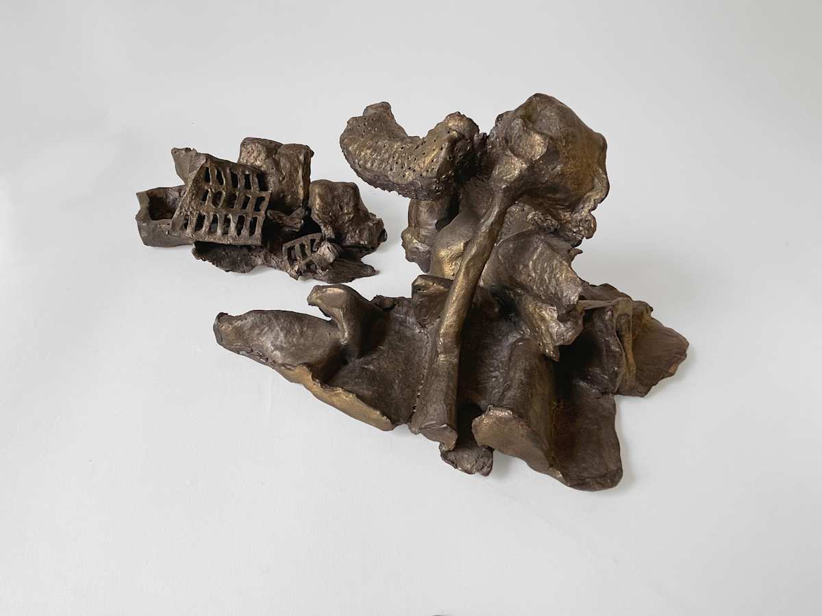 Amazon® in Ruins by Marisa Tesauro, Image 1.