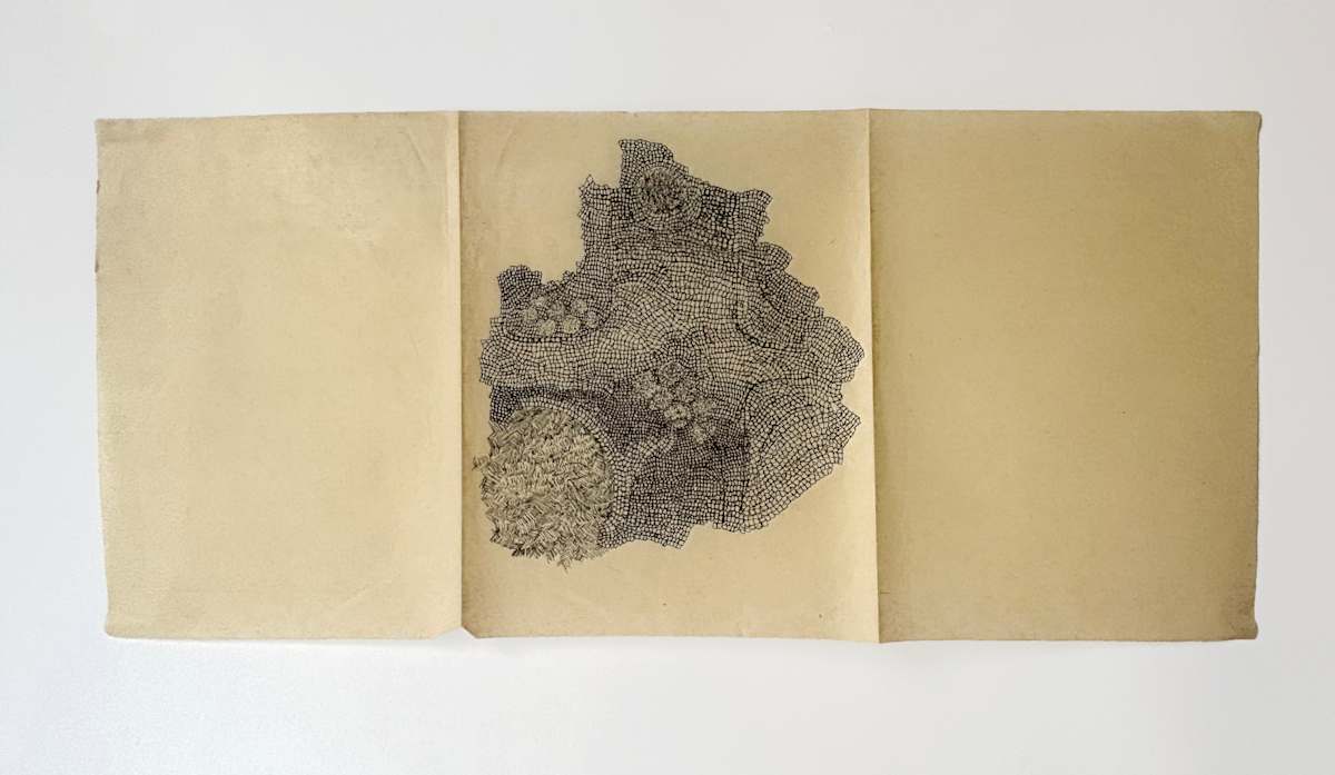 Sketch for Field Installation by Marisa Tesauro, Image 2.