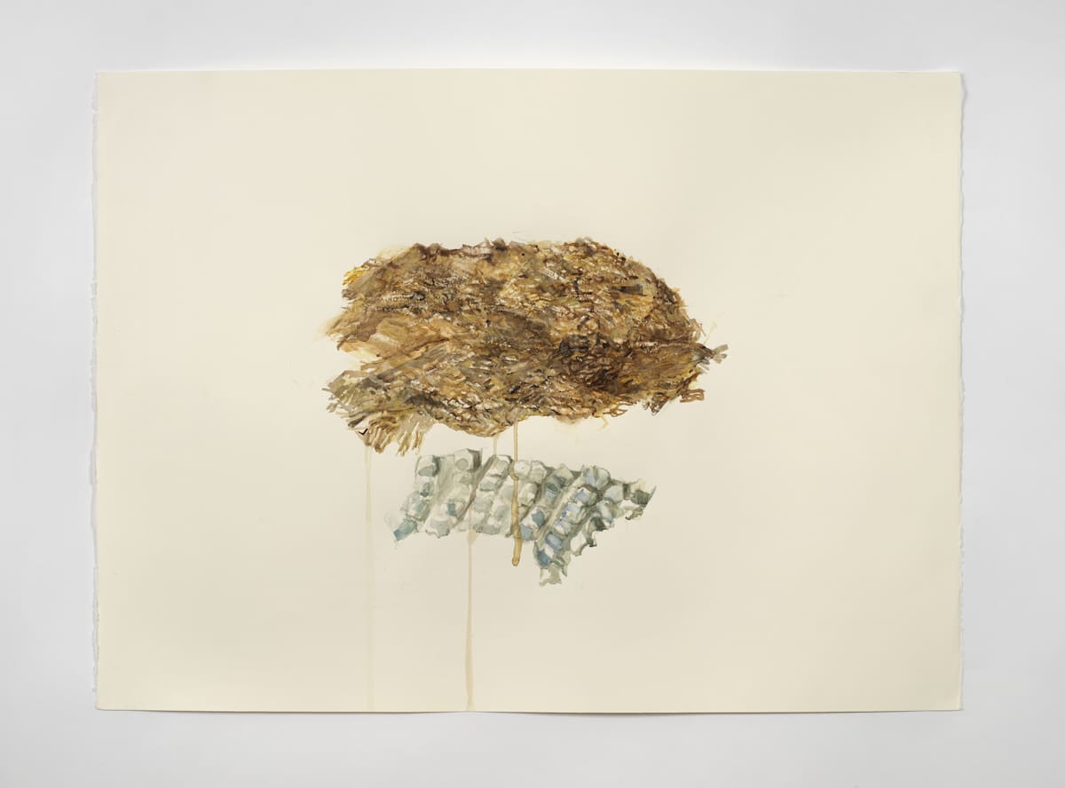 Waste Cloud Descending by Marisa Tesauro 