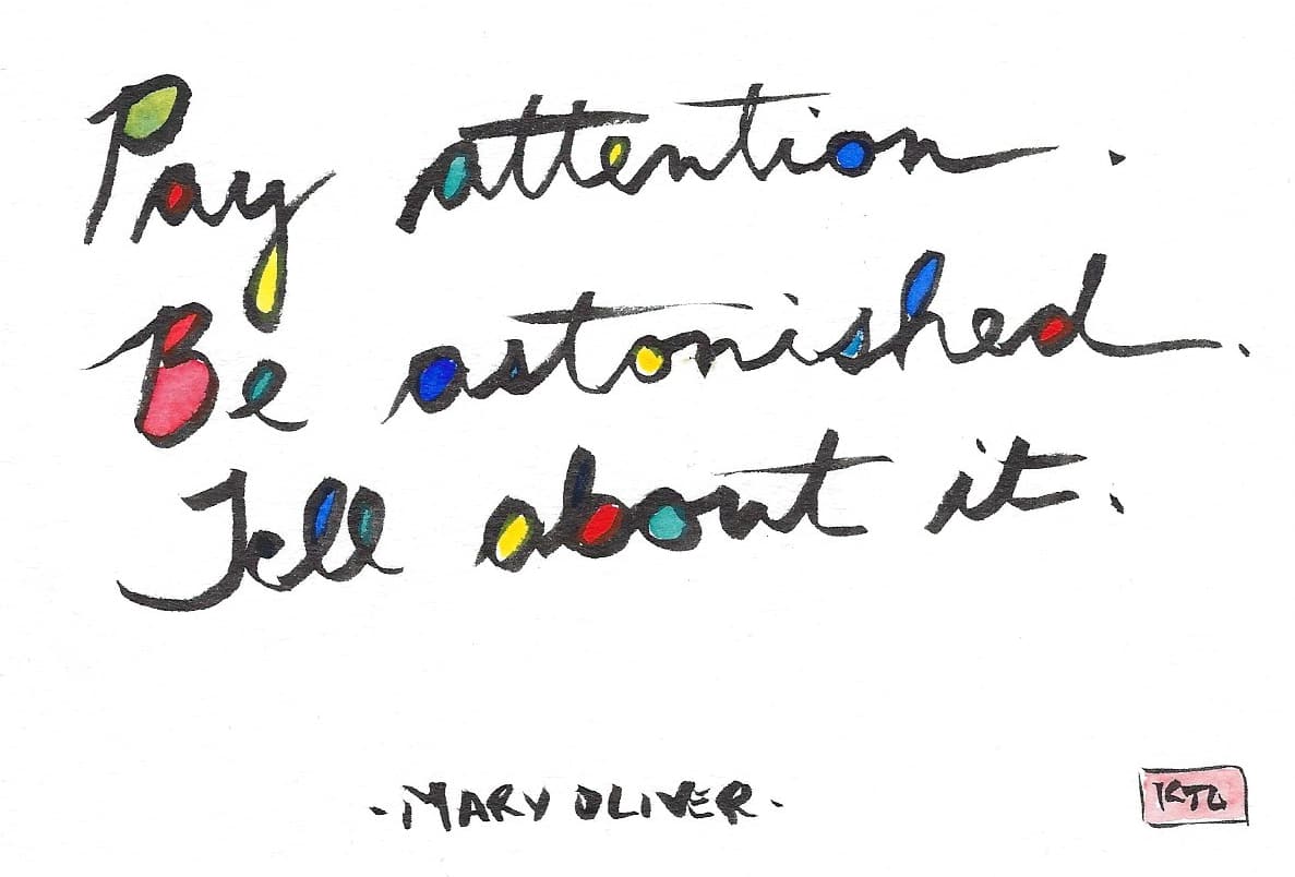 Pay attention. Be astonished. Tell about it. by Karen J Gimbel 