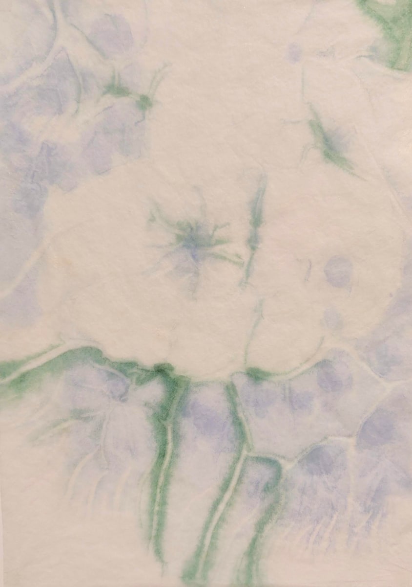 Bloom by Grith Stagaard 