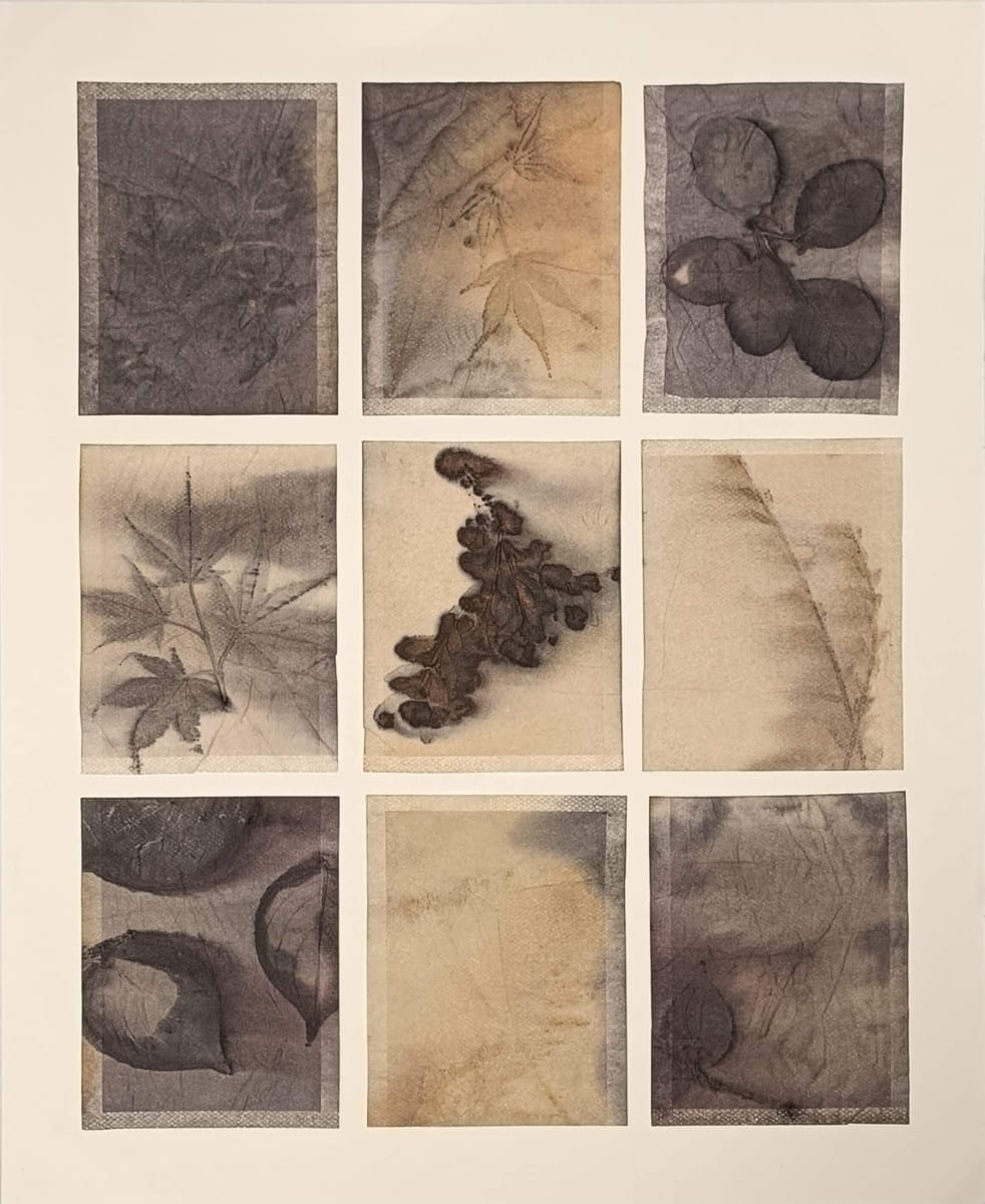 Autumn Impression by Grith Stagaard Gough  Image: Autumn Impression - Collage of 9 eco-prints