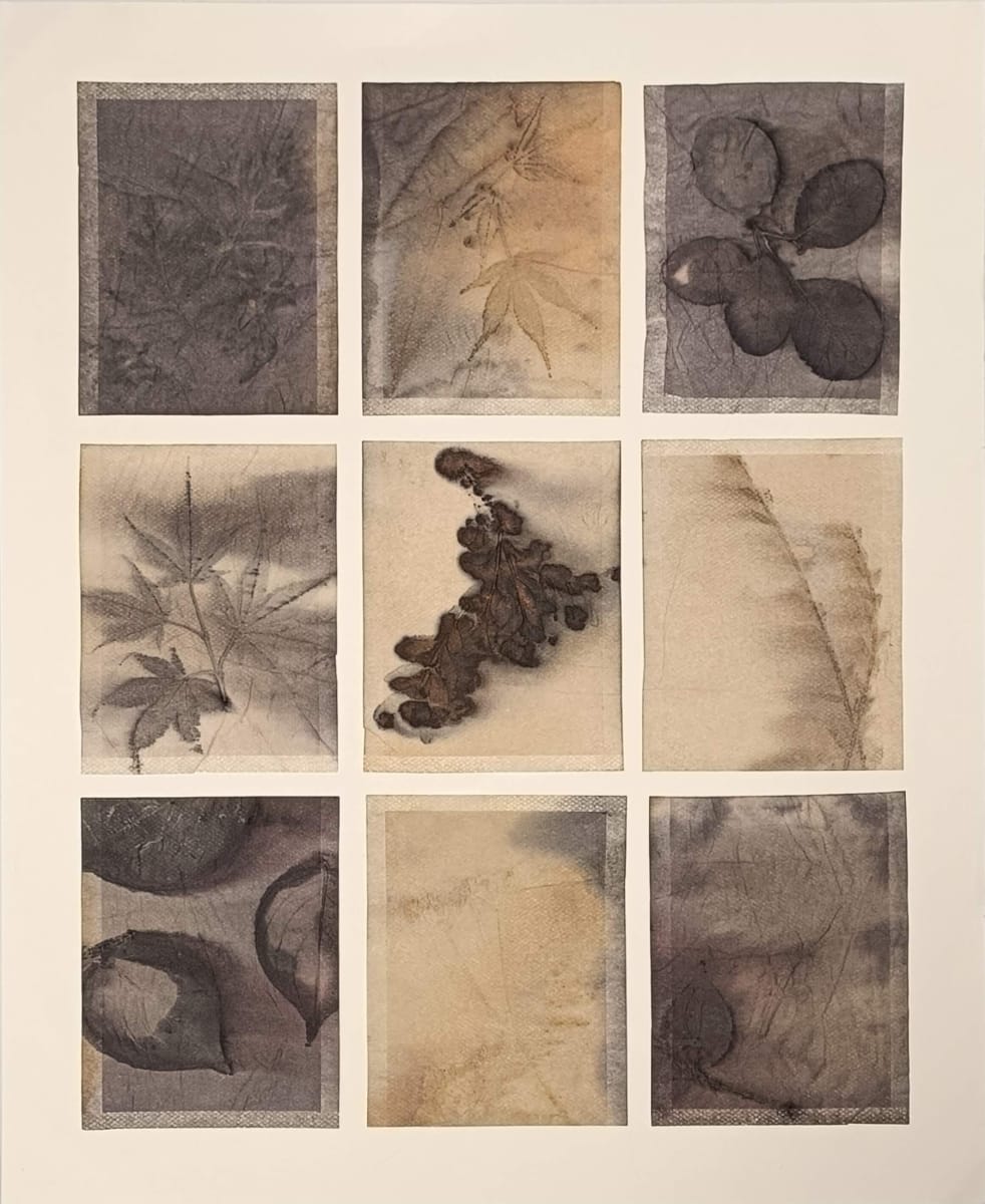 Autumn Impression by Grith Stagaard  Image: Autumn Impression - Collage of 9 eco-prints