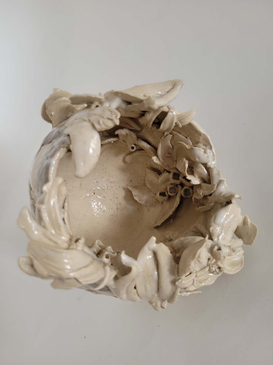 Brave - open seeds by Philippa Mollet 