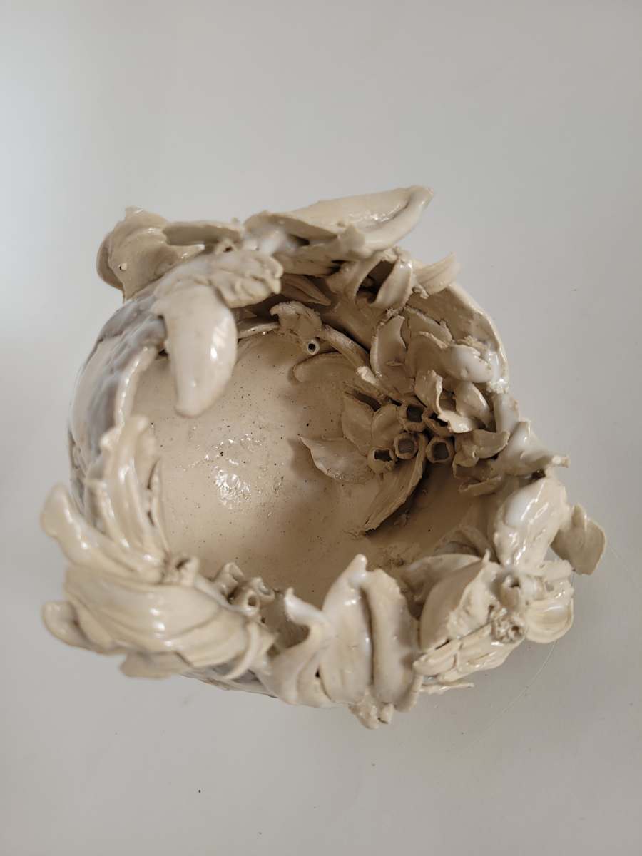 Brave - open seeds by Philippa Mollet, Image 6.