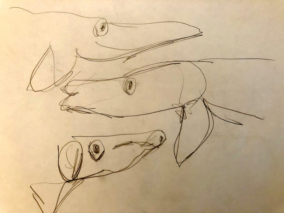 Untitled Sketch by Craig Moran 