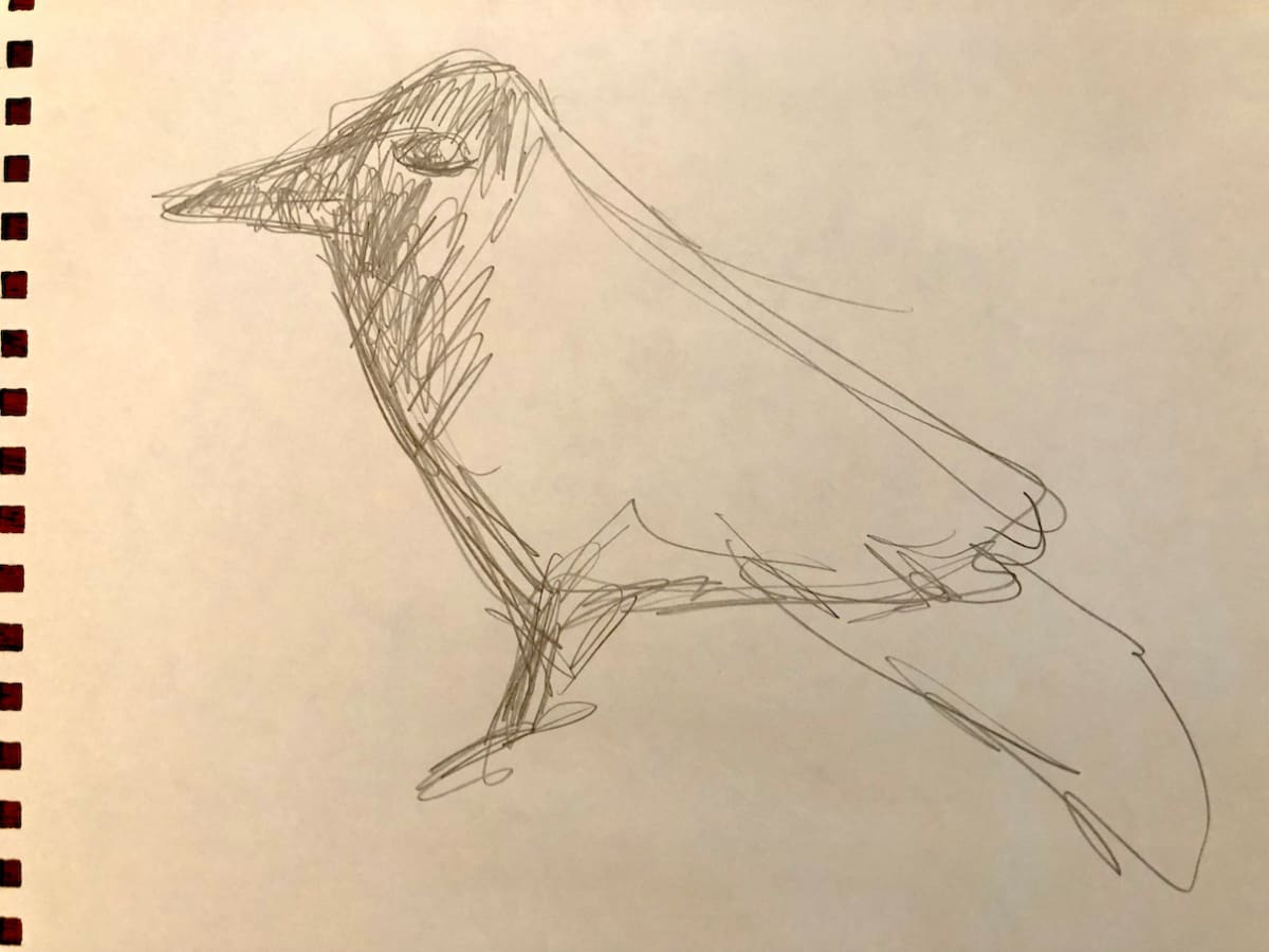 Untitled Sketch by Craig Moran 