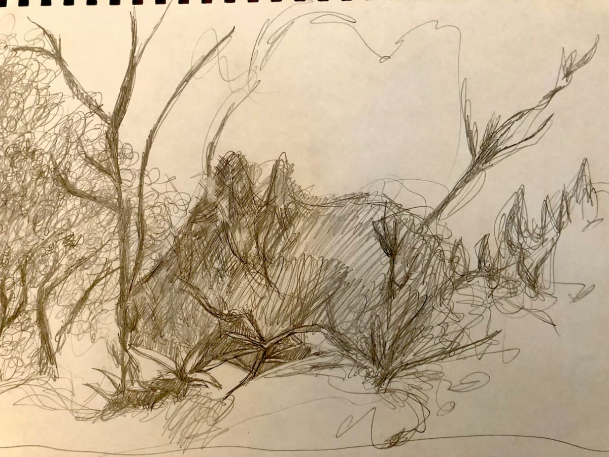 Untitled Sketch by Craig Moran 