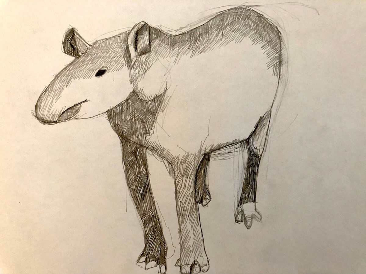 Untitled Sketch by Craig Moran, Image 1.