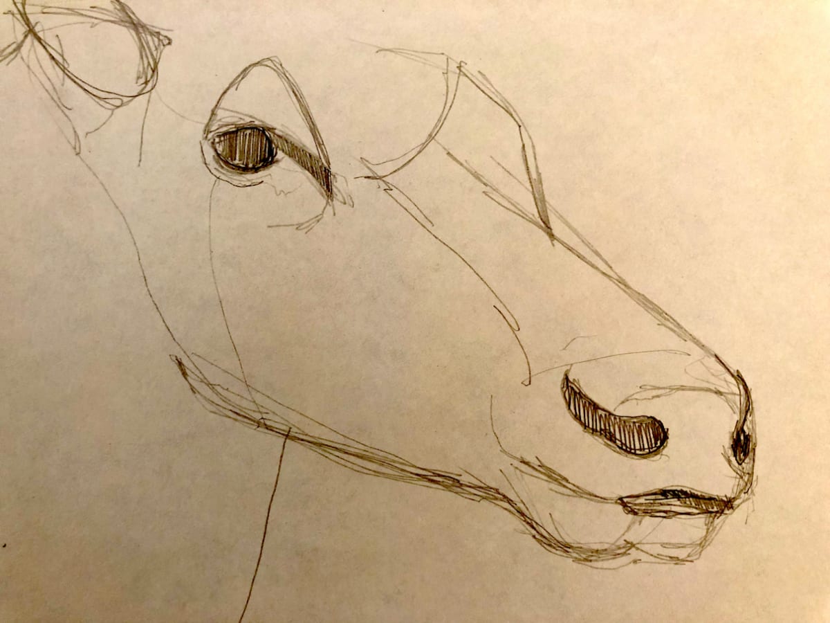 Untitled Sketch by Craig Moran 