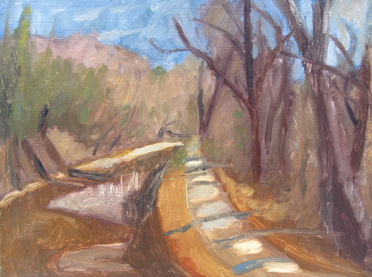 C & O Canal Trail #6 by Craig Moran 
