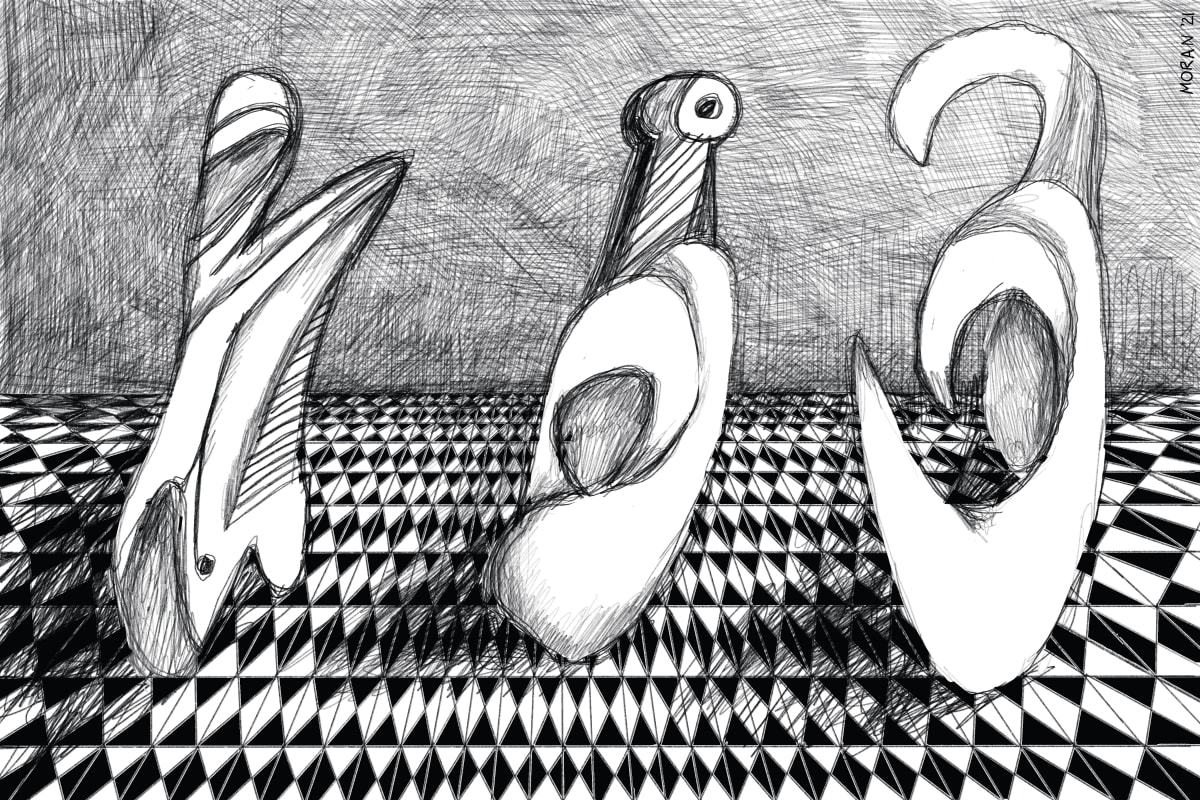 Observation by Craig Moran 