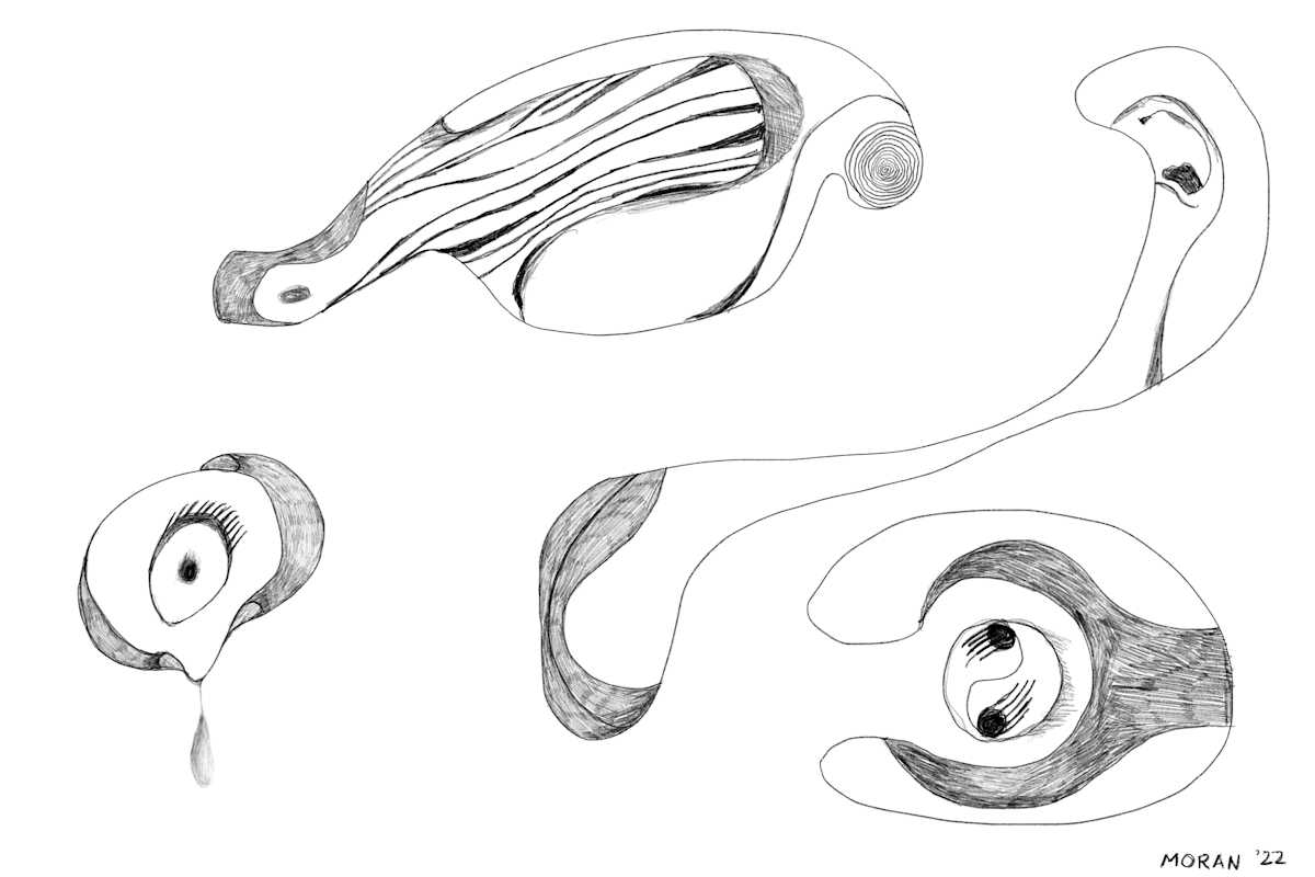 Signals by Craig Moran, Image 1.
