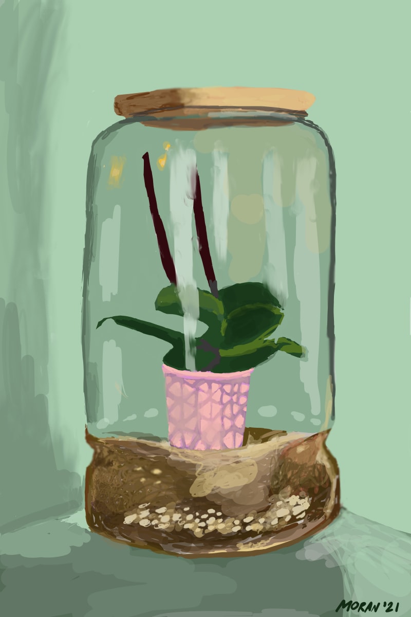 Still Life by Craig Moran 