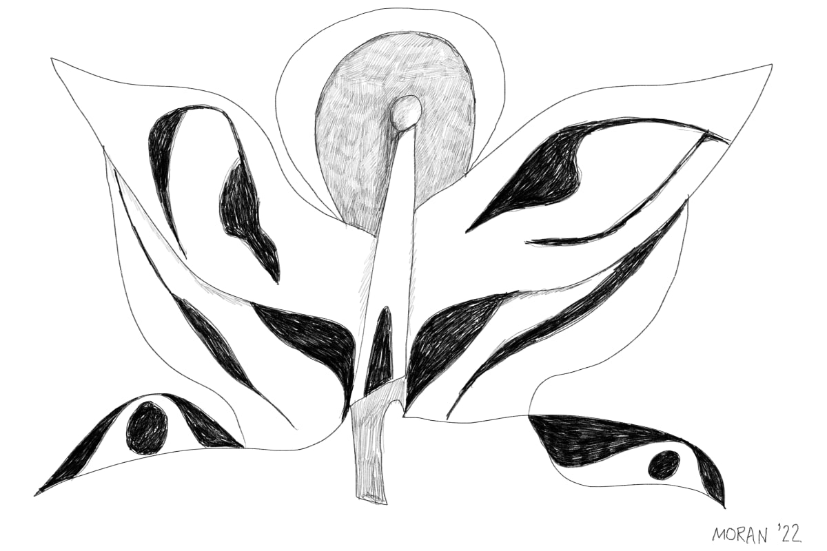 The Lunatic by Craig Moran 