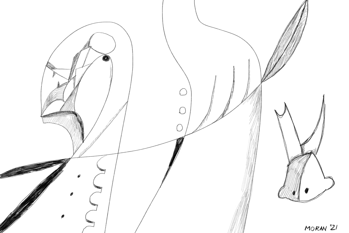 The Release by Craig Moran 