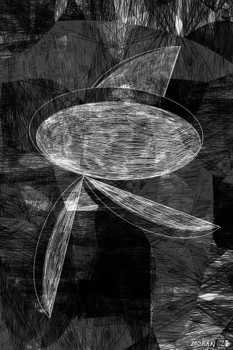 The Slow Dance by Craig Moran 