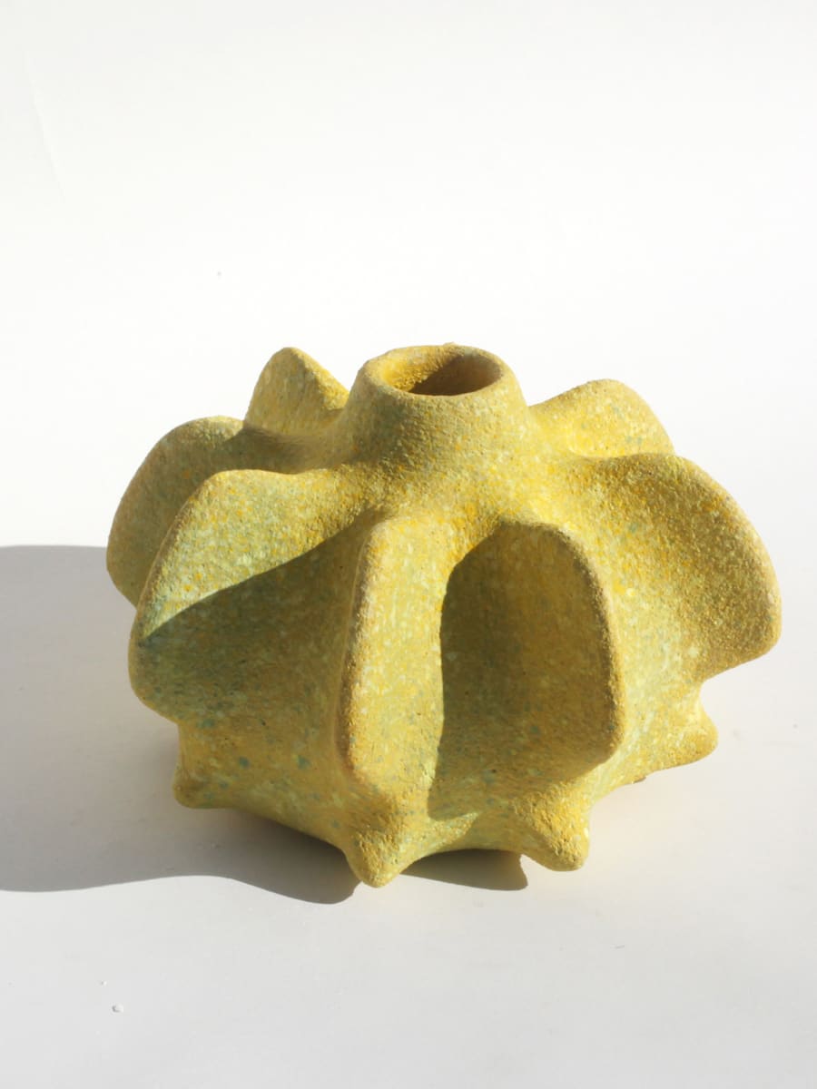 Yellow Urchin by Pilar Wiley, Image 1.