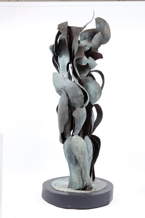 Amazons by Ruth Aizuss Migdal 