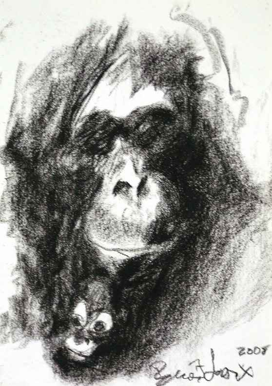 Maman singe et son petit by benoit leroux 