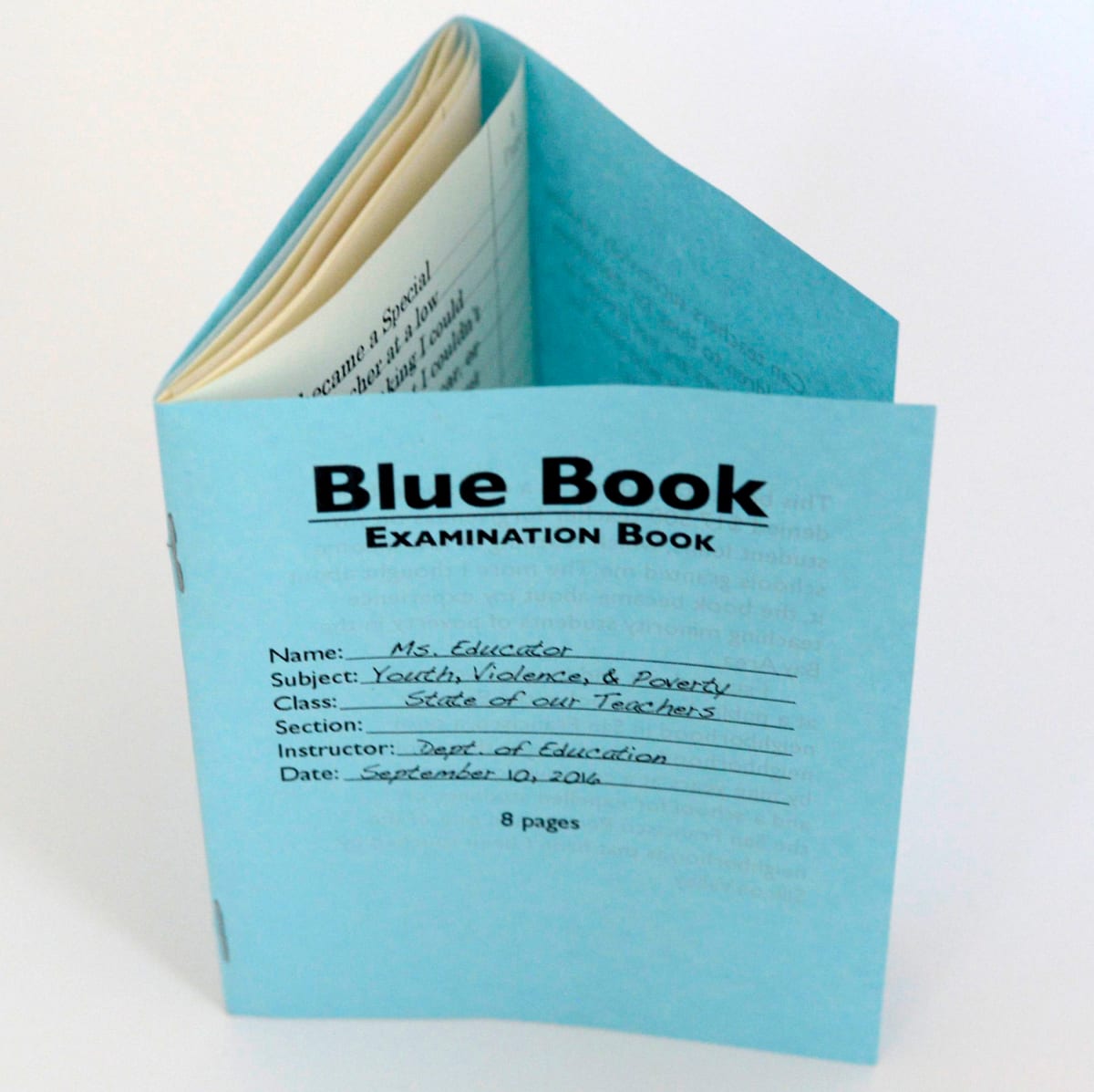 Blue Book by Nikki Thompson 