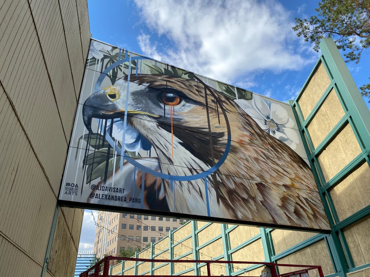 Hawk Mural by AJ Davis 