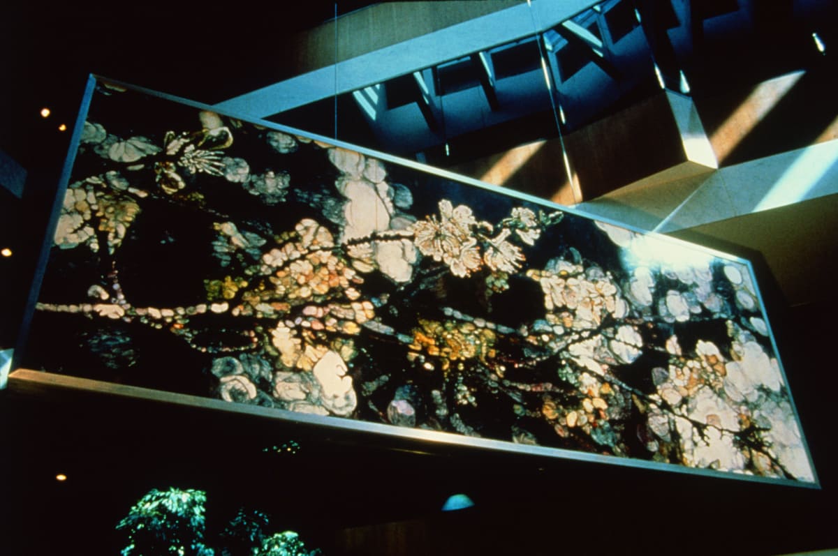 Black Spring by Joseph Raffael 