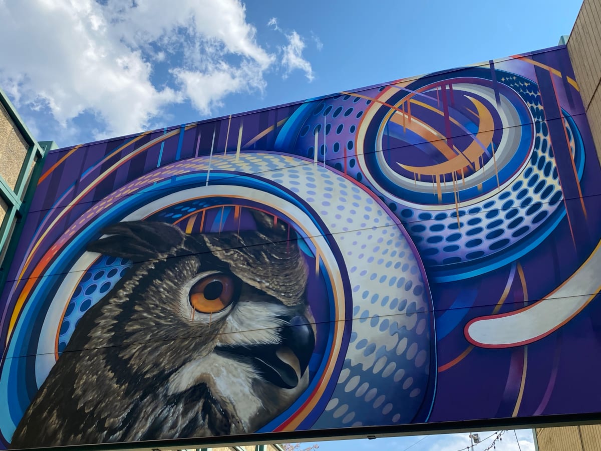 Owl Mural by AJ Davis 
