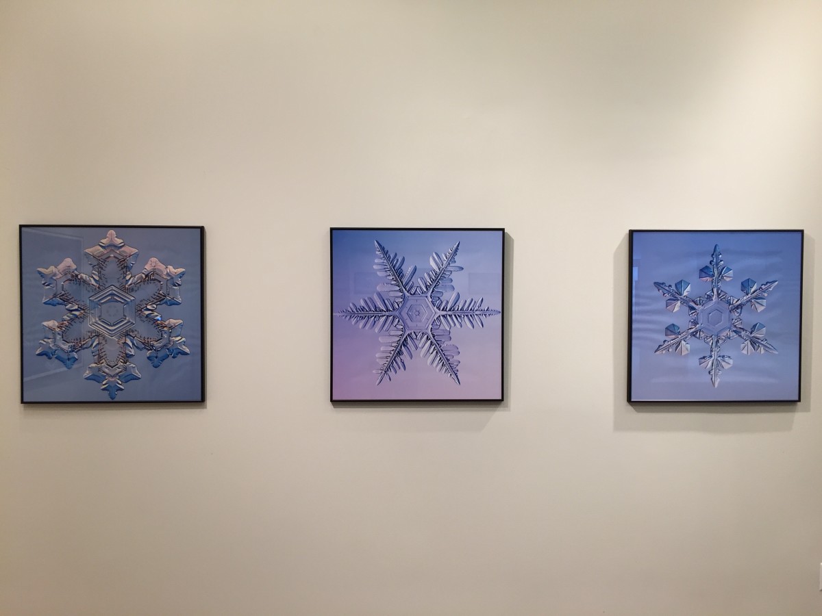 Snow Crystals by Kenneth Libbrecht 