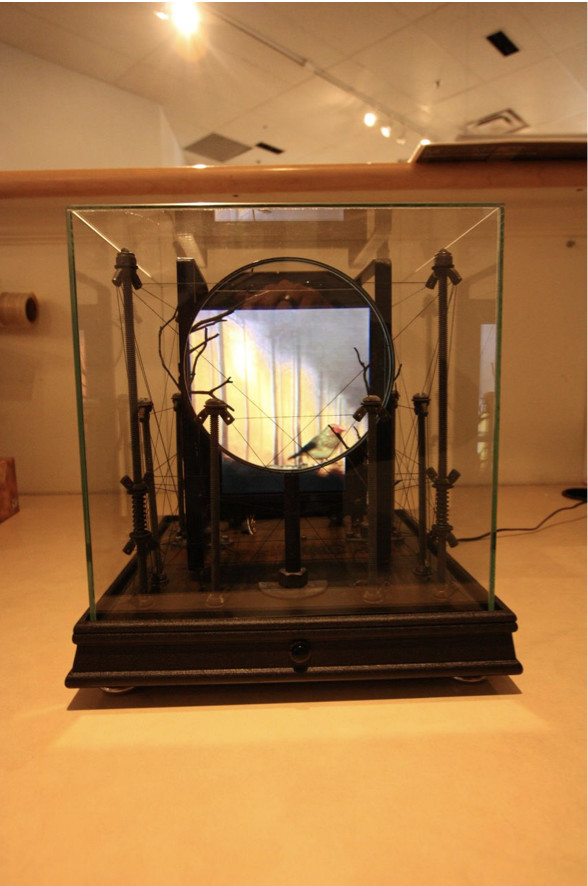 I Am Lost by David Zimmer 