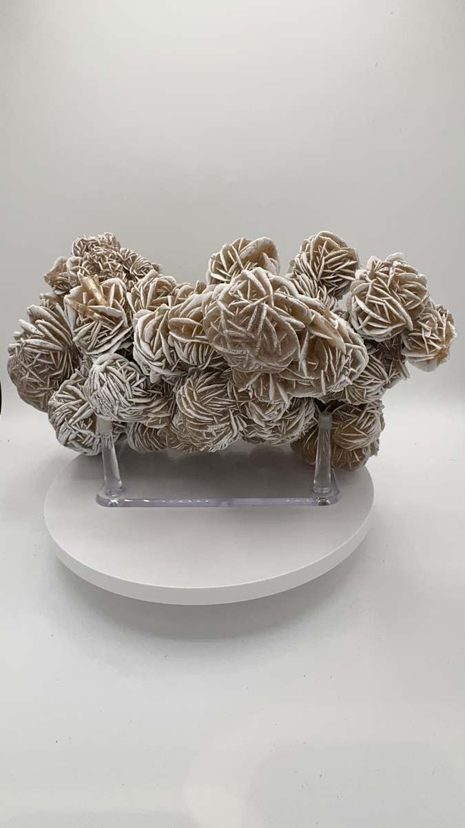 Desert Rose Selenite Mineral Cluster 