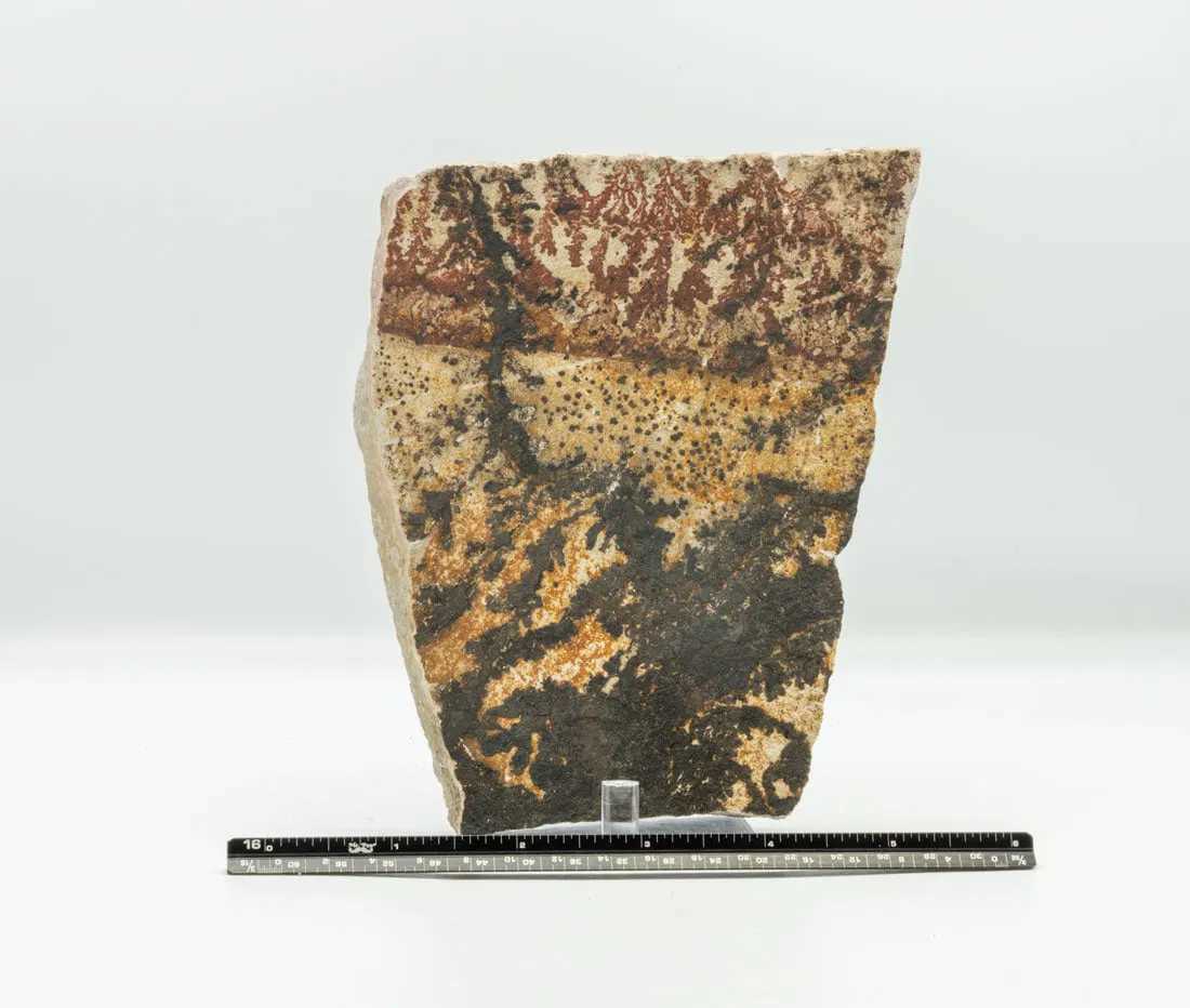 Double-sided Utah dendrite, Image 1.
