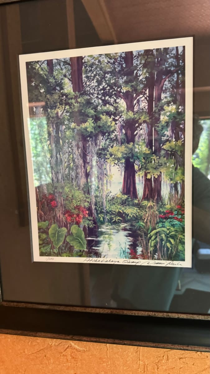 “Atchaflaya Swamp” by Dianne Parks 