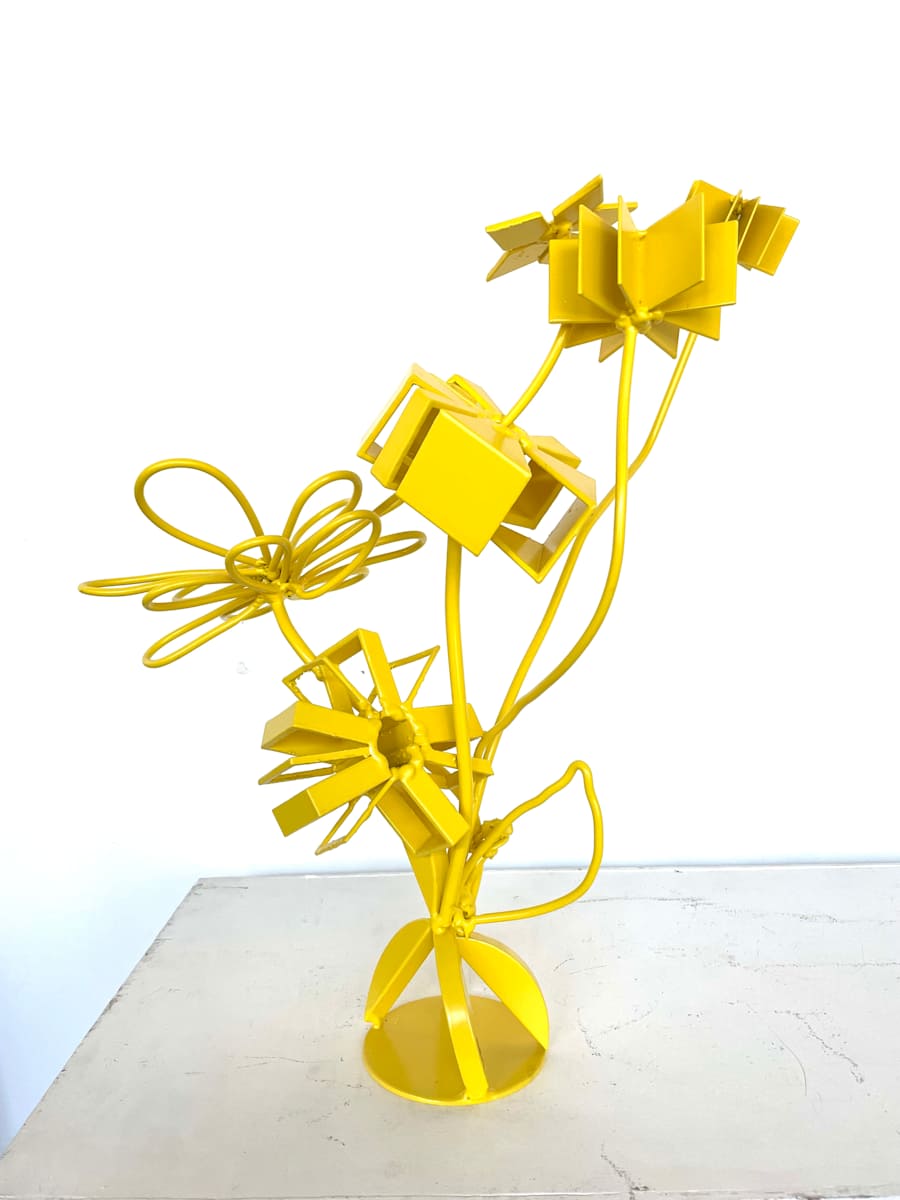 IMG_1750_myfrsu_0 by Vivien Collens 