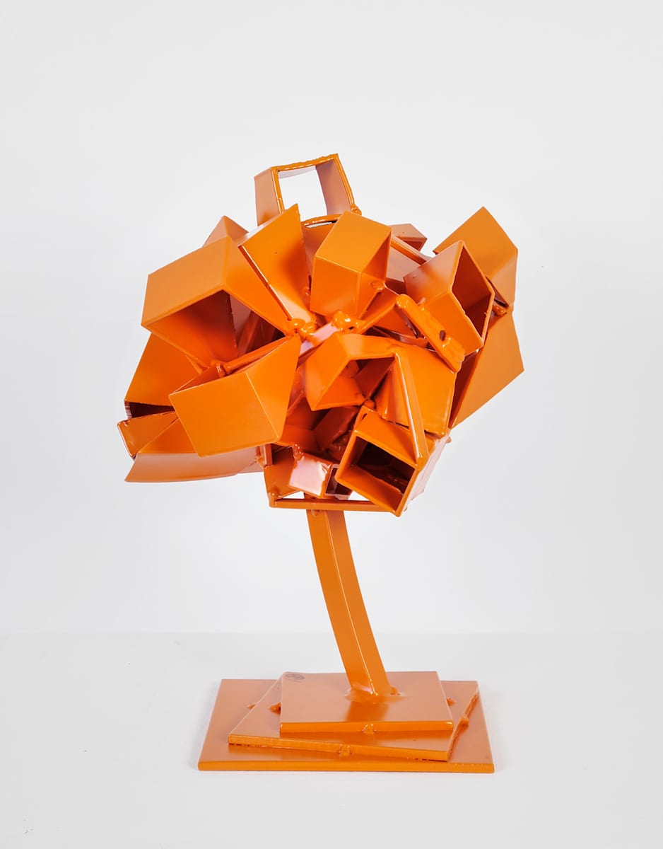 orange bonzai by Vivien  Collens 