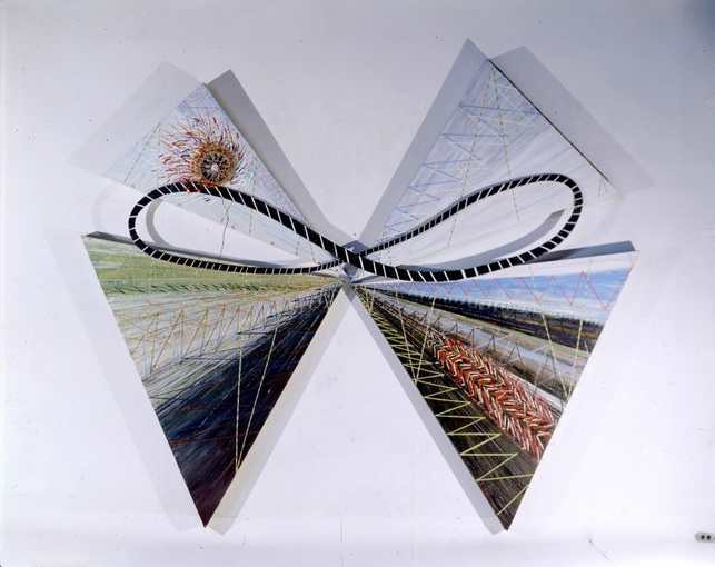 The Coaster and the Racer by Vivien  Collens 