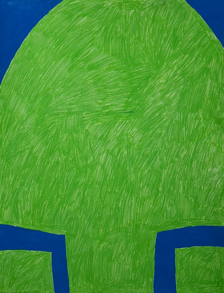 Turtle by Drue Leahy, Image 16.