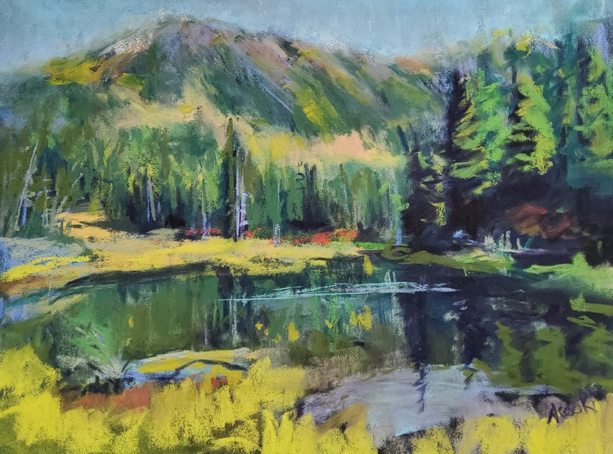 Paradise Meadows Summer Walk by Nanci Cook, PAC  Image: Walking through Paradise Meadows in summer.