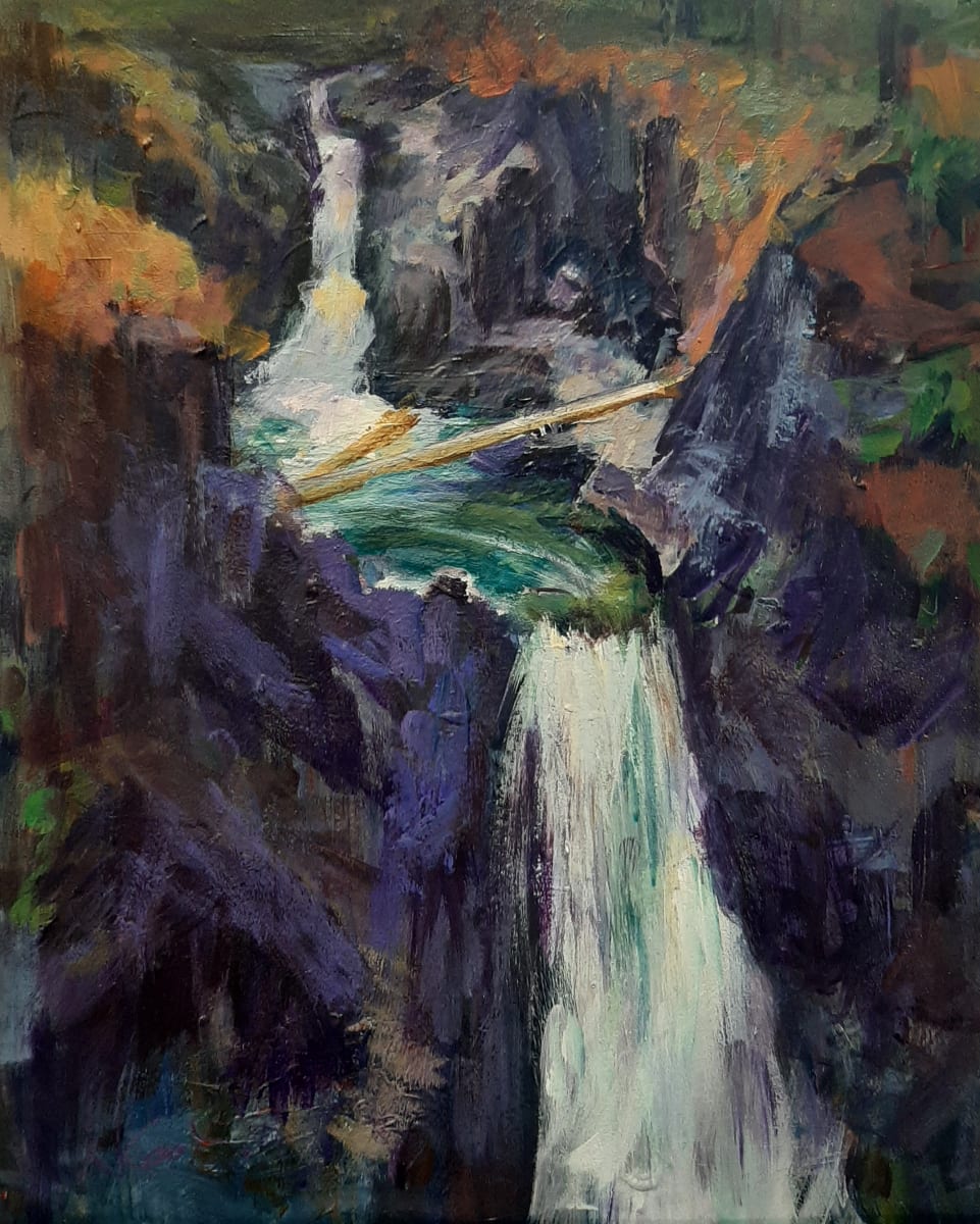 Little Qualicum Falls by Nanci Cook, PAC, Image 1.