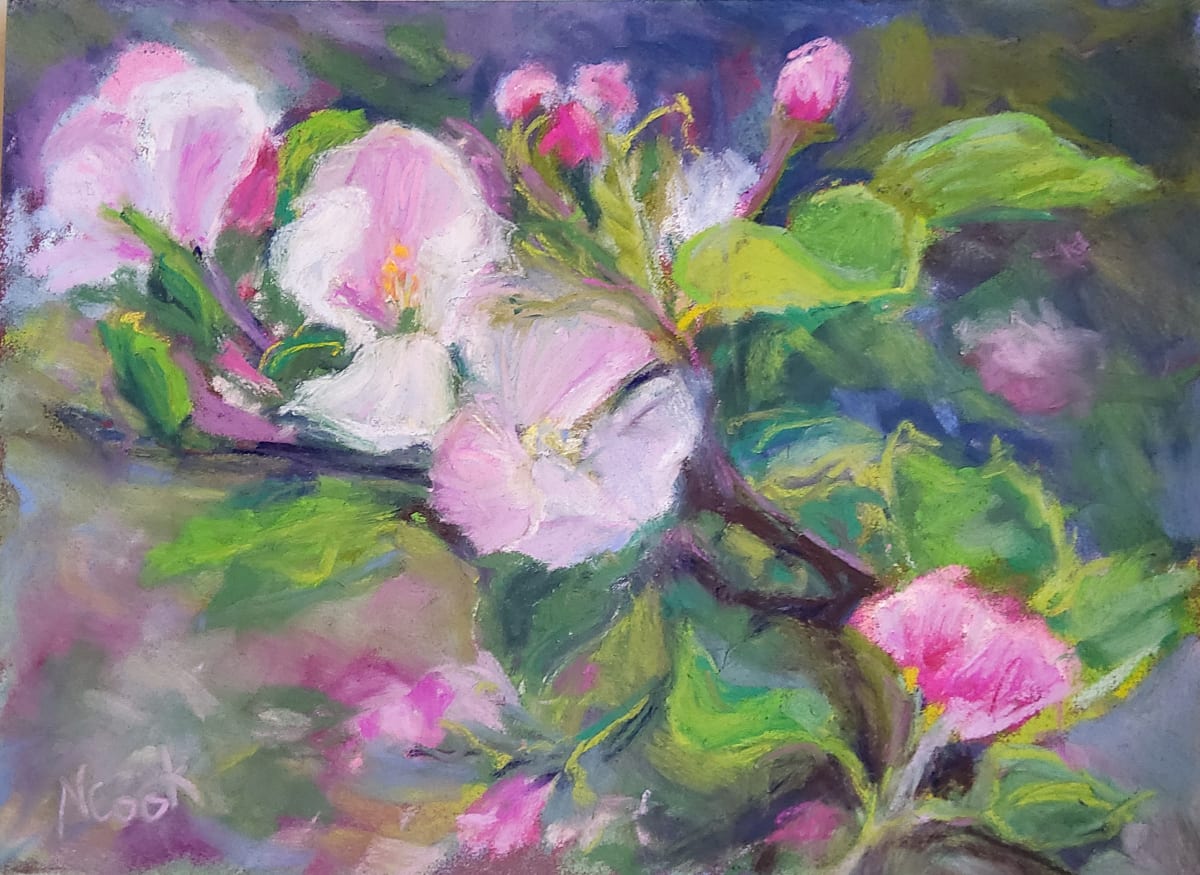 Pink Backyard Blossoms by Nanci Cook, PAC, Image 1.
